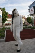 Eurofurence 14