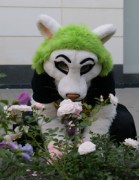 Eurofurence 14