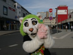 Eurofurence 14