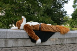 Eurofurence 14