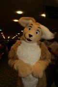 Eurofurence 14