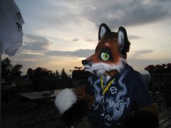 Eurofurence 15