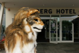 Eurofurence 15