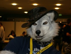 Eurofurence 15