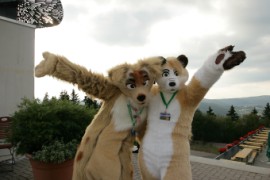 Eurofurence 15