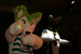 Eurofurence 15