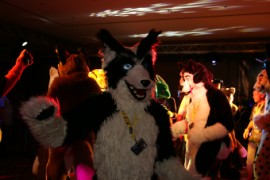 Eurofurence 15