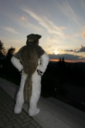 Eurofurence 15