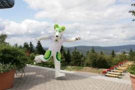 Eurofurence 15