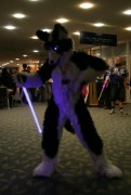 Eurofurence 15