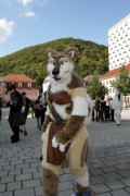 Eurofurence 15