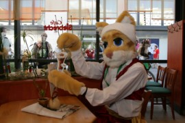 Eurofurence 15