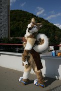 Eurofurence 15