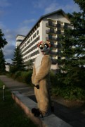 Eurofurence 15