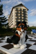 Eurofurence 15