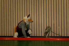 Eurofurence 15