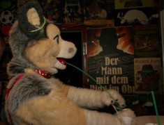 Eurofurence 15