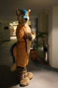 Eurofurence 16