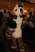 Eurofurence 16