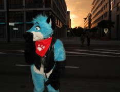 Eurofurence 16