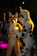 Eurofurence 16