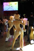 Eurofurence 16