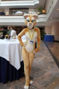 Eurofurence 16