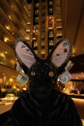 Eurofurence 16