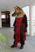 Eurofurence 16