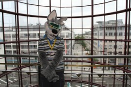 Eurofurence 16