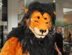 Eurofurence 16