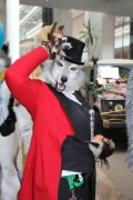 Eurofurence 16