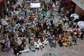 Eurofurence 16