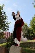 Eurofurence 16