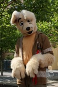 Eurofurence 16