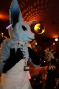 Eurofurence 16