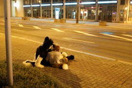 Eurofurence 16