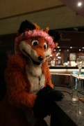 Eurofurence 16