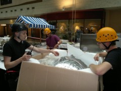 Eurofurence 17