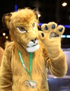 Eurofurence 17