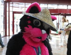 Eurofurence 17