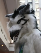 Eurofurence 17