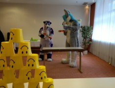 Eurofurence 17