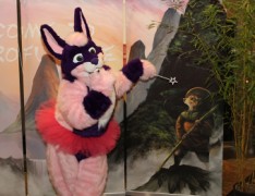 Eurofurence 17