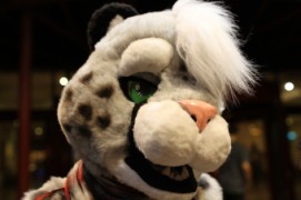 Eurofurence 17