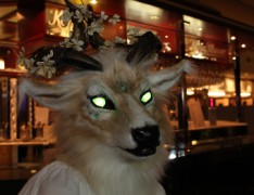 Eurofurence 17