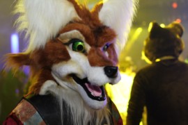 Eurofurence 17