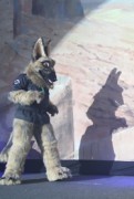 Eurofurence 17