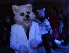 Eurofurence 17