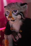 Eurofurence 17